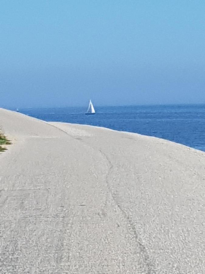 Romantisch Huisje Nabij Het Strand Met Uitzicht Op De Tulpenvelden Julianadorp Eksteriør billede