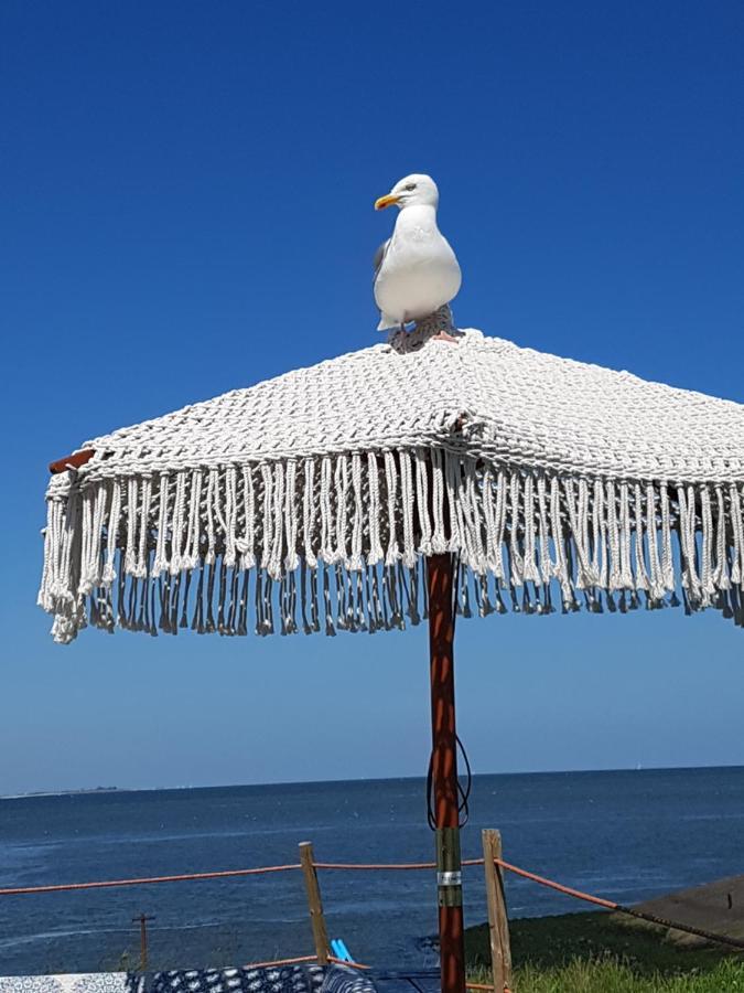 Romantisch Huisje Nabij Het Strand Met Uitzicht Op De Tulpenvelden Julianadorp Eksteriør billede