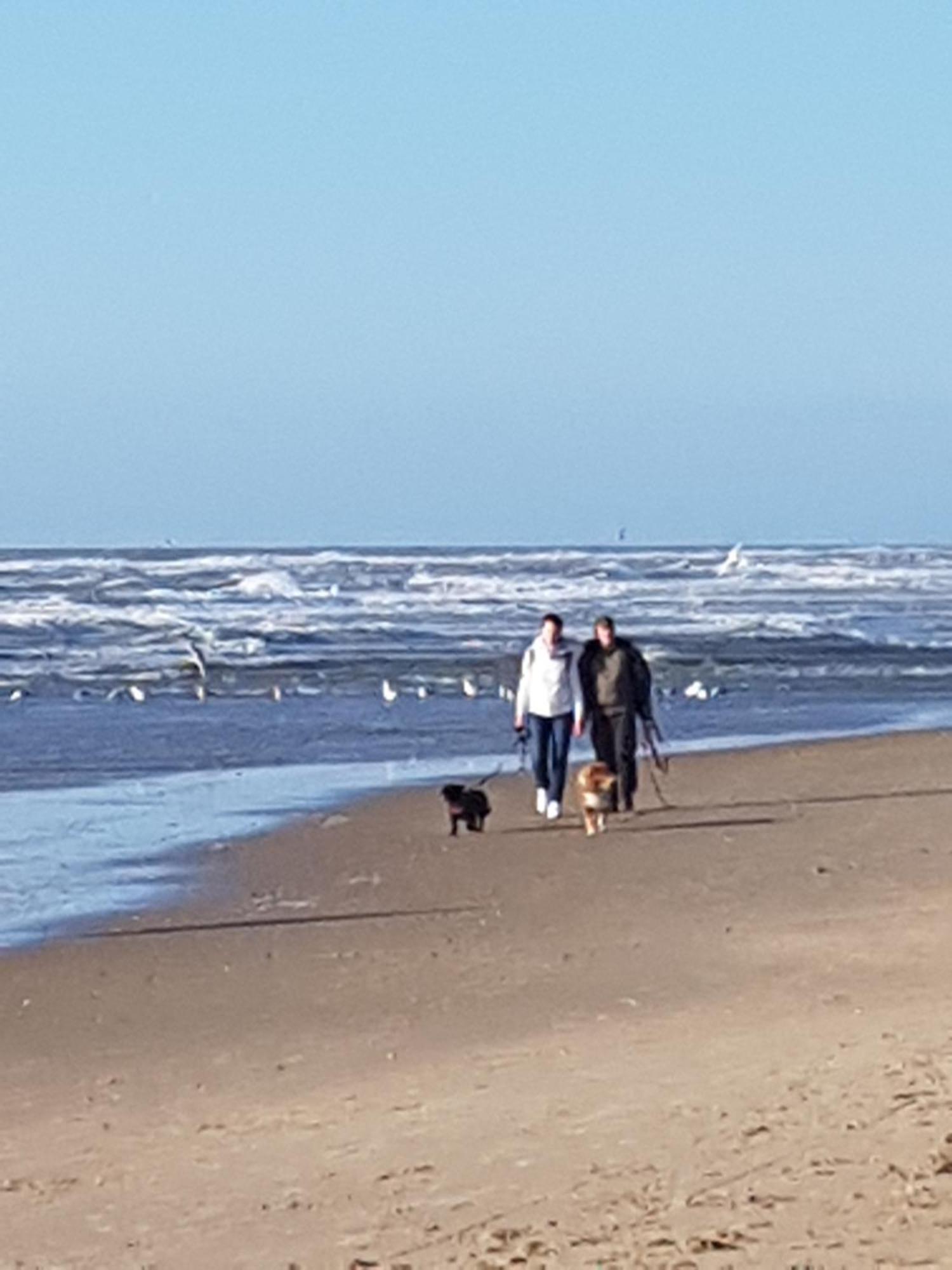 Romantisch Huisje Nabij Het Strand Met Uitzicht Op De Tulpenvelden Julianadorp Eksteriør billede