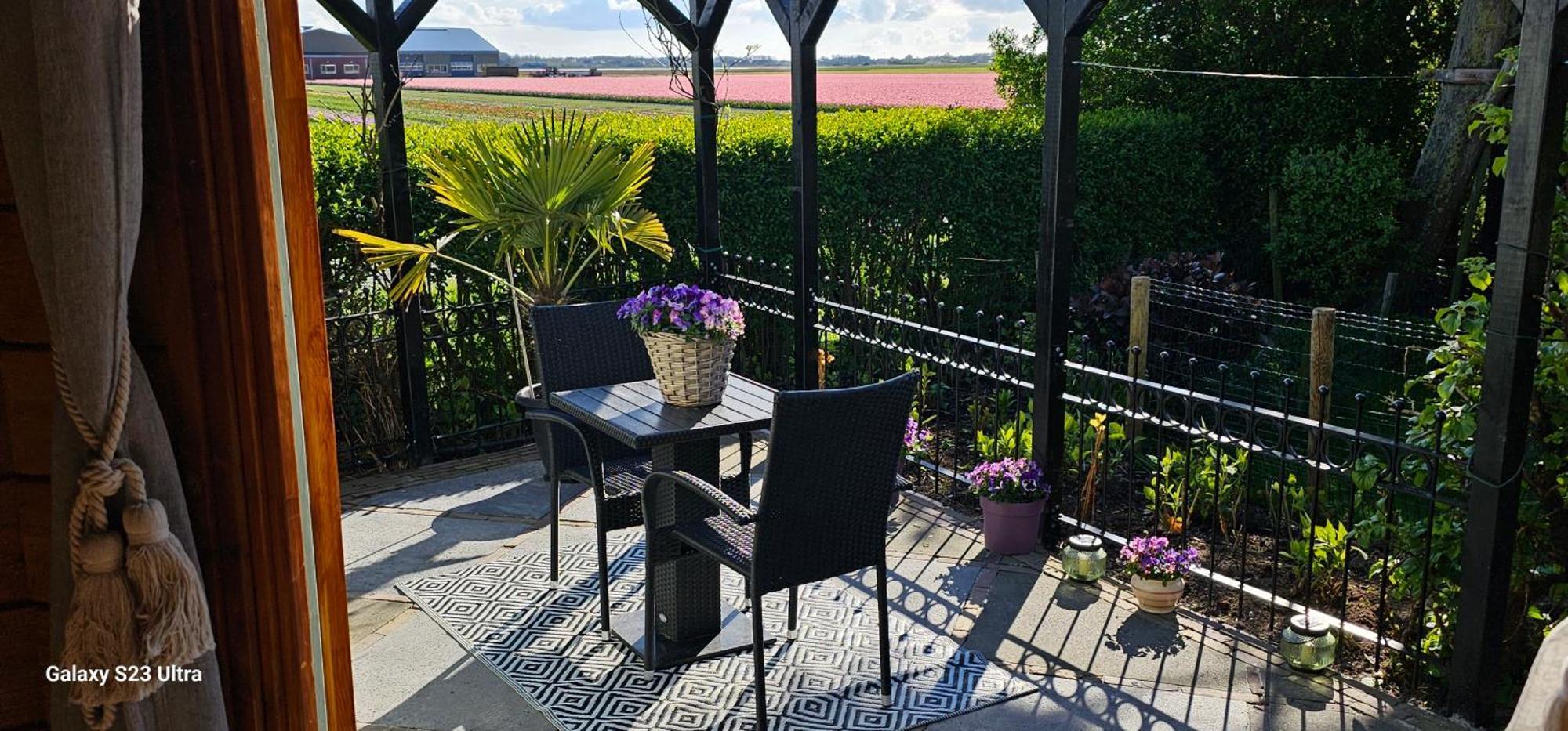 Romantisch Huisje Nabij Het Strand Met Uitzicht Op De Tulpenvelden Julianadorp Eksteriør billede