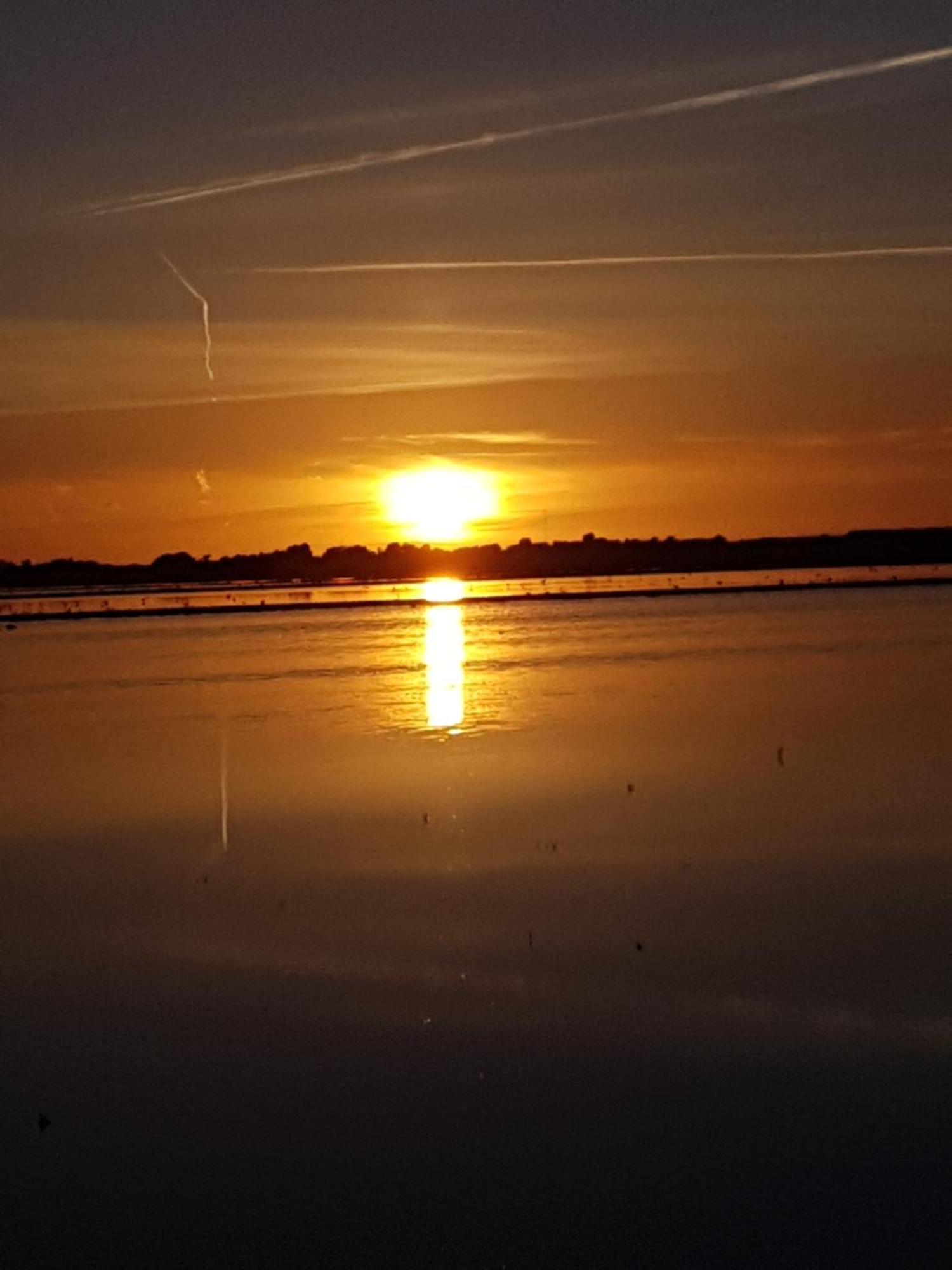 Romantisch Huisje Nabij Het Strand Met Uitzicht Op De Tulpenvelden Julianadorp Eksteriør billede