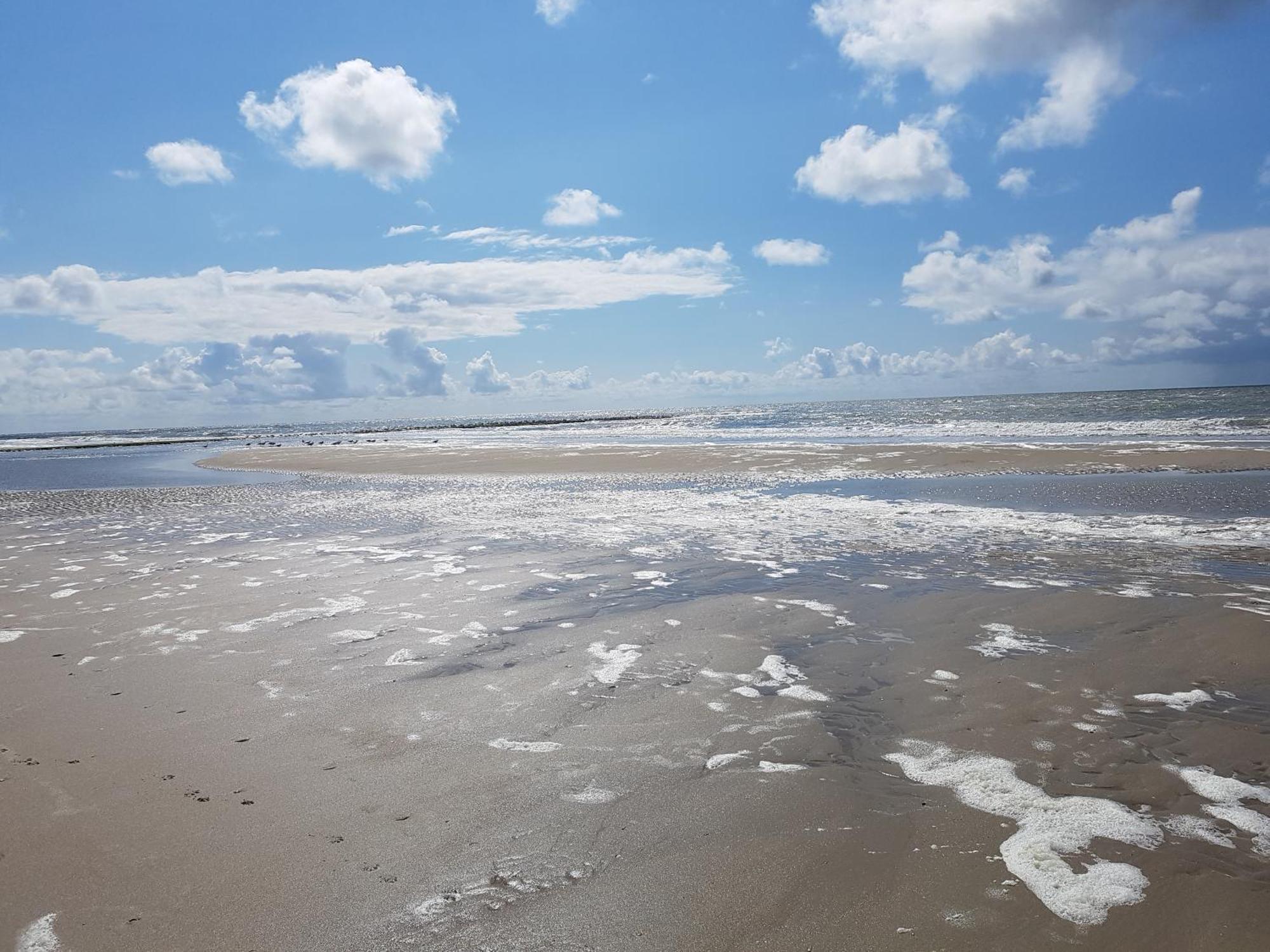 Romantisch Huisje Nabij Het Strand Met Uitzicht Op De Tulpenvelden Julianadorp Eksteriør billede