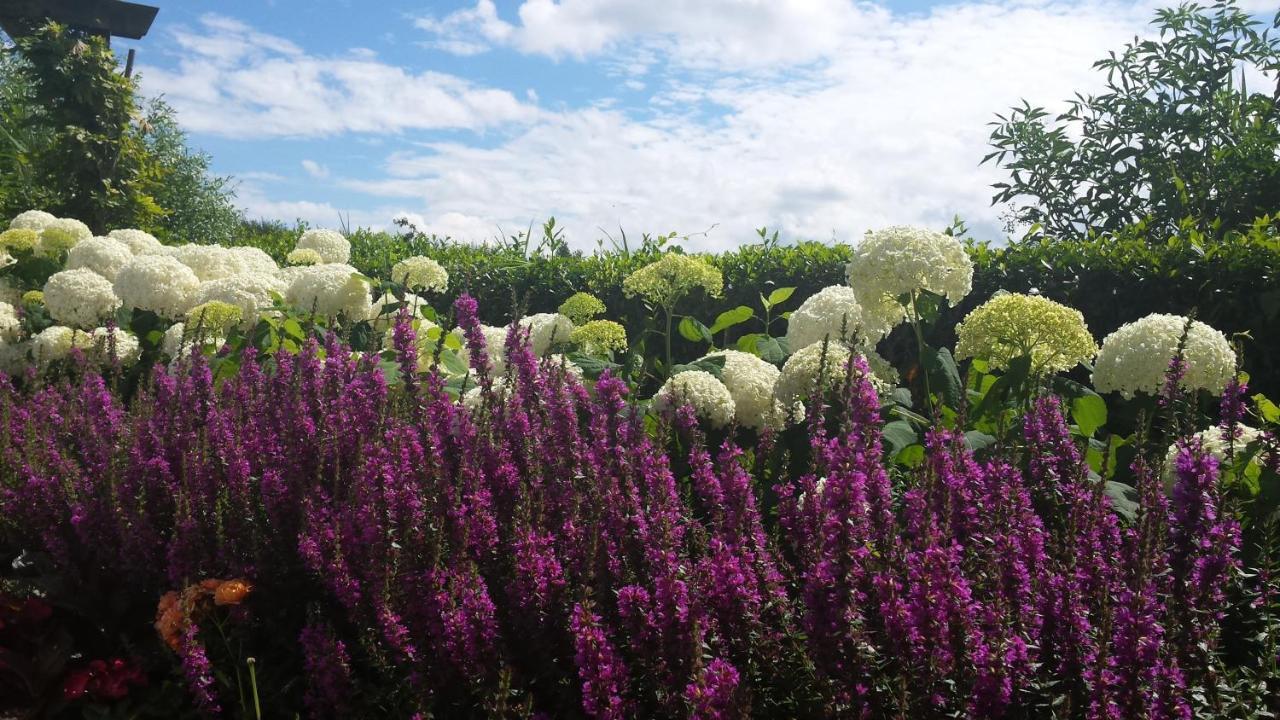 Romantisch Huisje Nabij Het Strand Met Uitzicht Op De Tulpenvelden Julianadorp Eksteriør billede