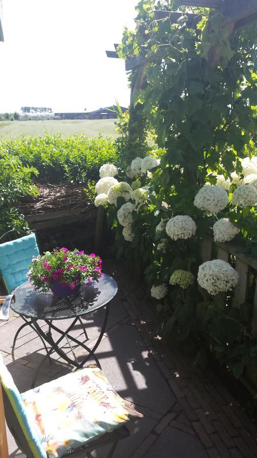 Romantisch Huisje Nabij Het Strand Met Uitzicht Op De Tulpenvelden Julianadorp Eksteriør billede