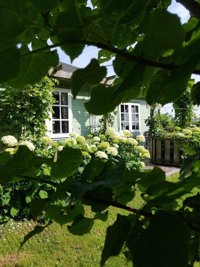 Romantisch Huisje Nabij Het Strand Met Uitzicht Op De Tulpenvelden Julianadorp Eksteriør billede